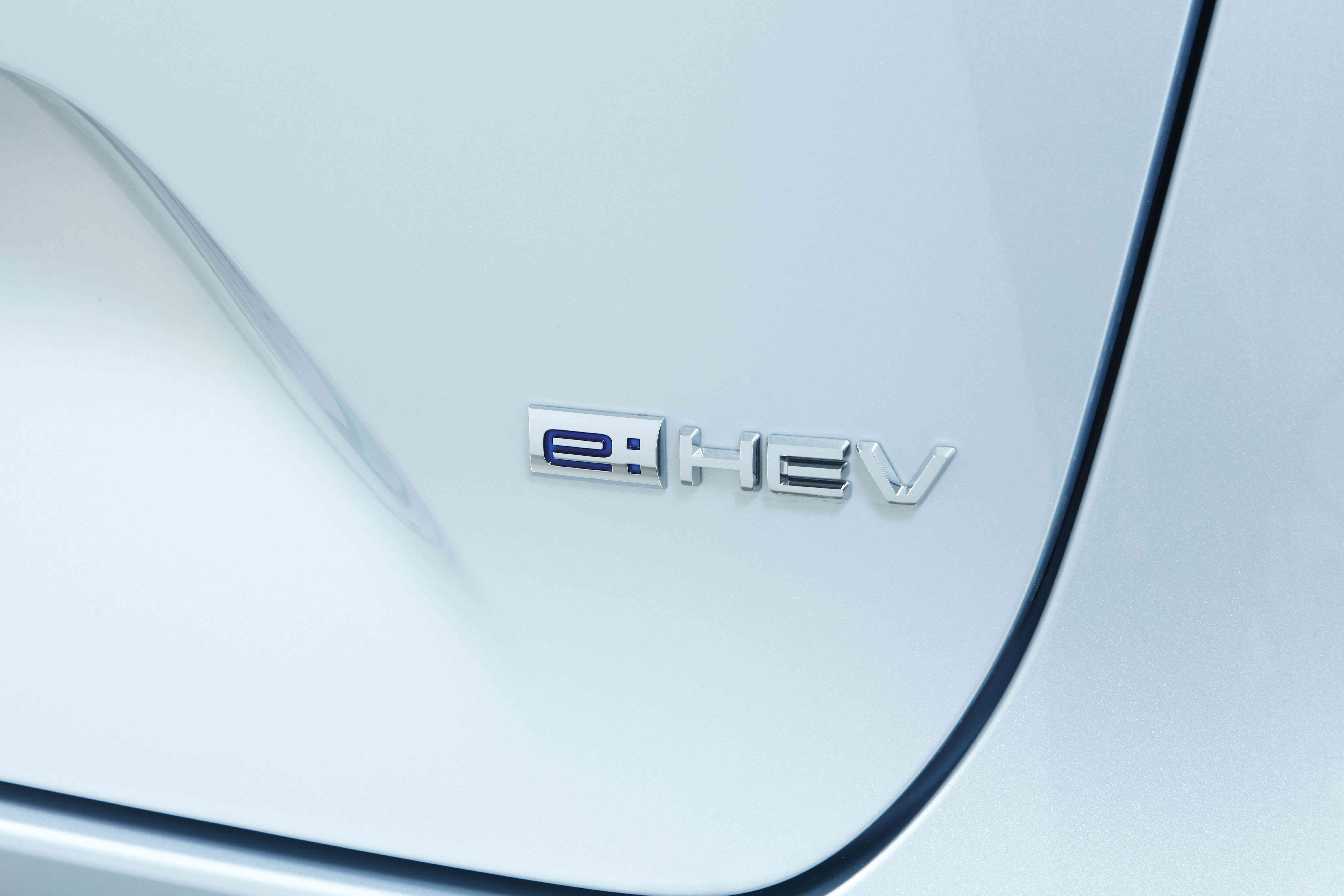 Body Color Door Handles