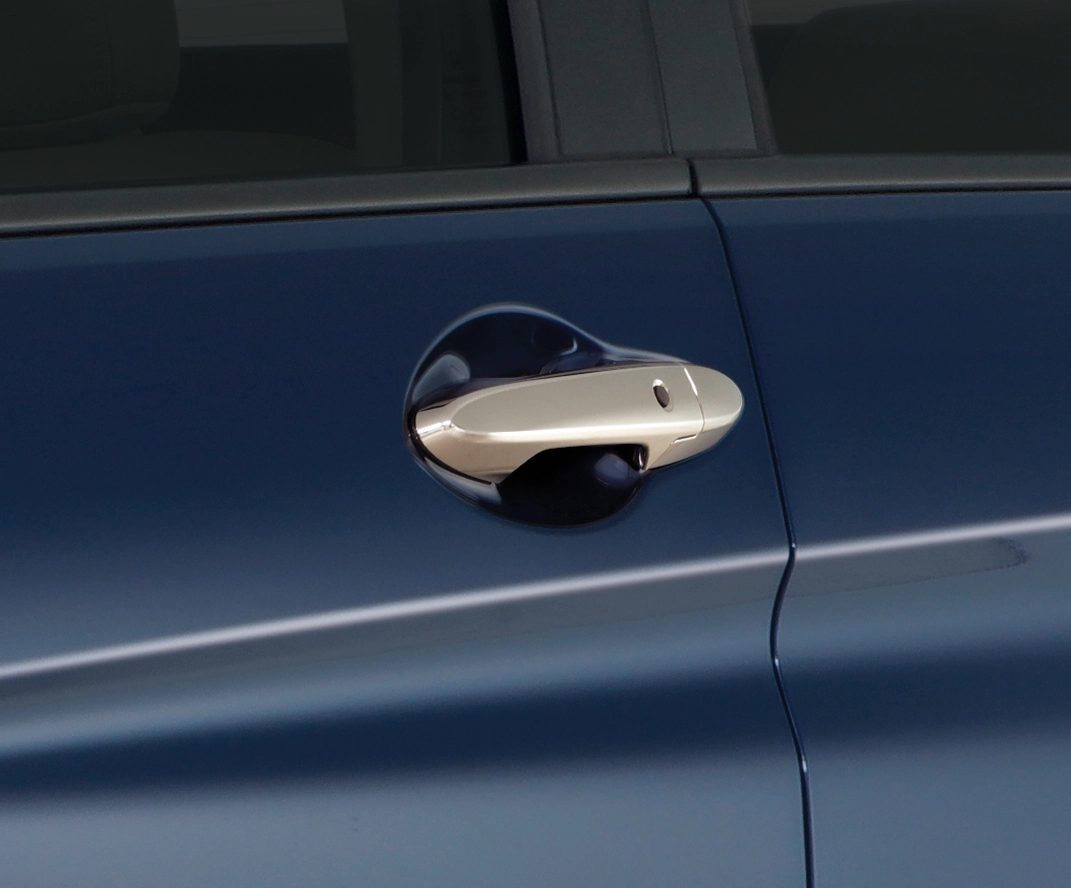 Chrome Door Handles